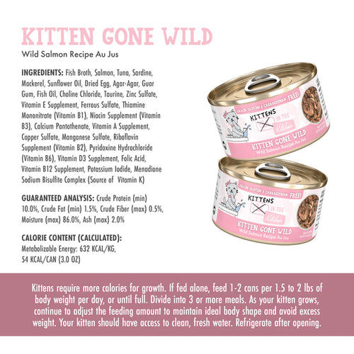 Weruva Kittens in the Kitchen Kitten Gone Wild Wild Salmon Recipe Au Jus (3 Oz - Single)