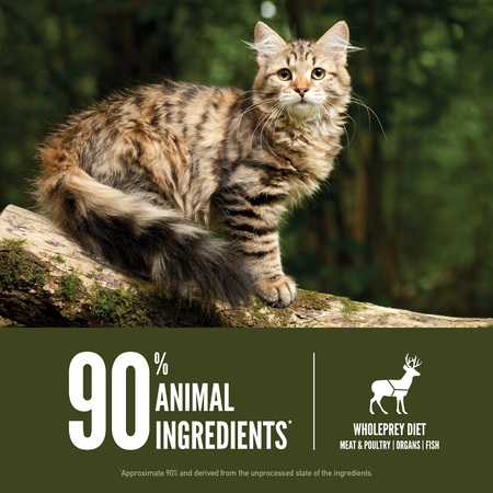 ORIJEN Tundra Dry Cat Food