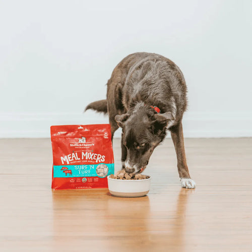 Stella & Chewy's Surf ‘N Turf Meal Mixers for Dogs