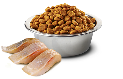 Farmina Pet Foods N&D Ocean Neutered, Herring & Orange Adult Cat food