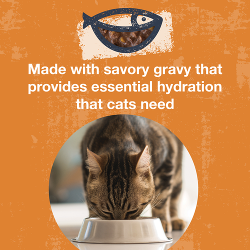 Koha Poké Bowl Tuna & Pumpkin Entrée in Gravy for Cats