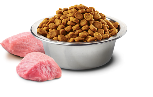 N&d mini breed hot sale