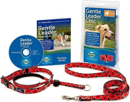 Padded gentle leader best sale