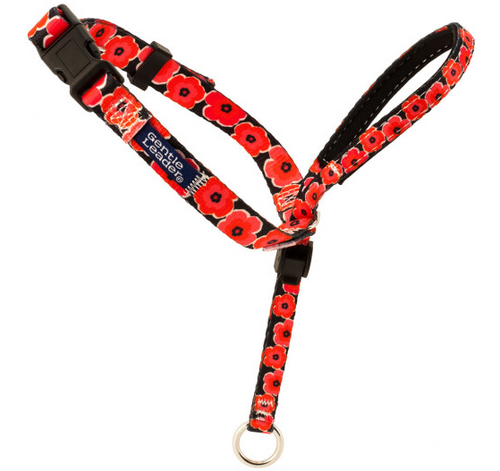 Petsafe Chic Gentle Leader Quick Release Poppies Headcollar and Leash for Dogs