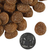 Fromm Tenderollies™ Bac'n Chedd-a-Rollie Flavor Dog Treats