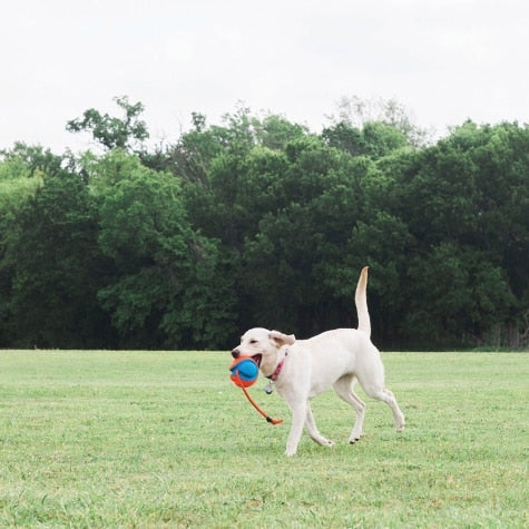 Petmate Chuckit Rope Fetch Sarasota FL Pet Supply Center Online